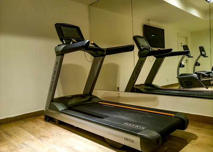 奥帕蒂亚维耶塔阿玛德里亚米勒尼酒店 4*