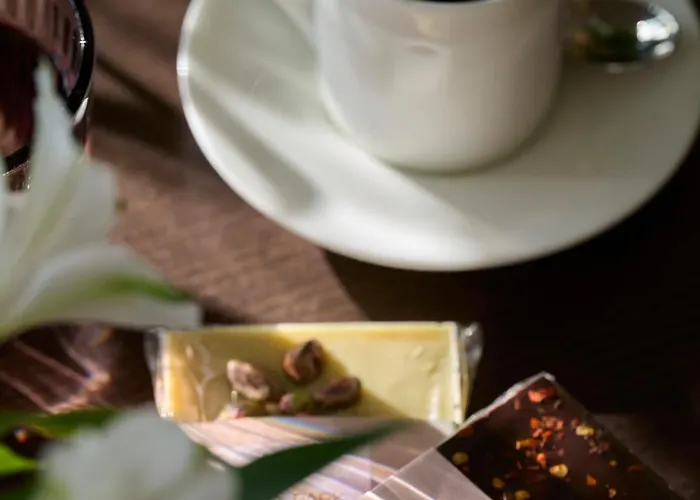 奥帕蒂亚维耶塔阿玛德里亚米勒尼酒店 4*