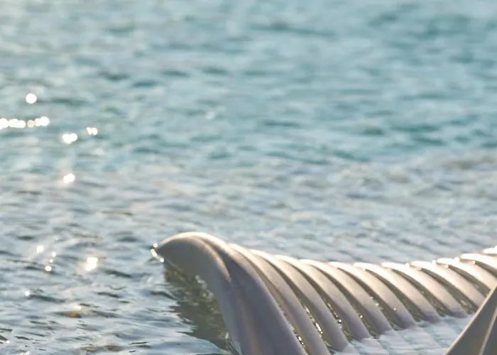 Amadria Park Grand 4 Opatijska Cvijeta