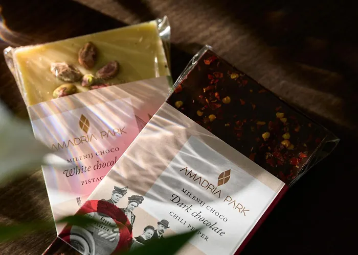 奥帕蒂亚维耶塔阿玛德里亚米勒尼酒店 4*